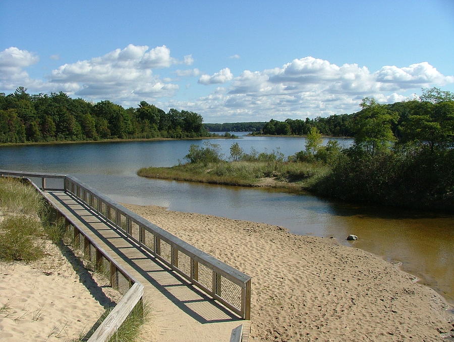 duck-lake-michigan-homes-for-sale