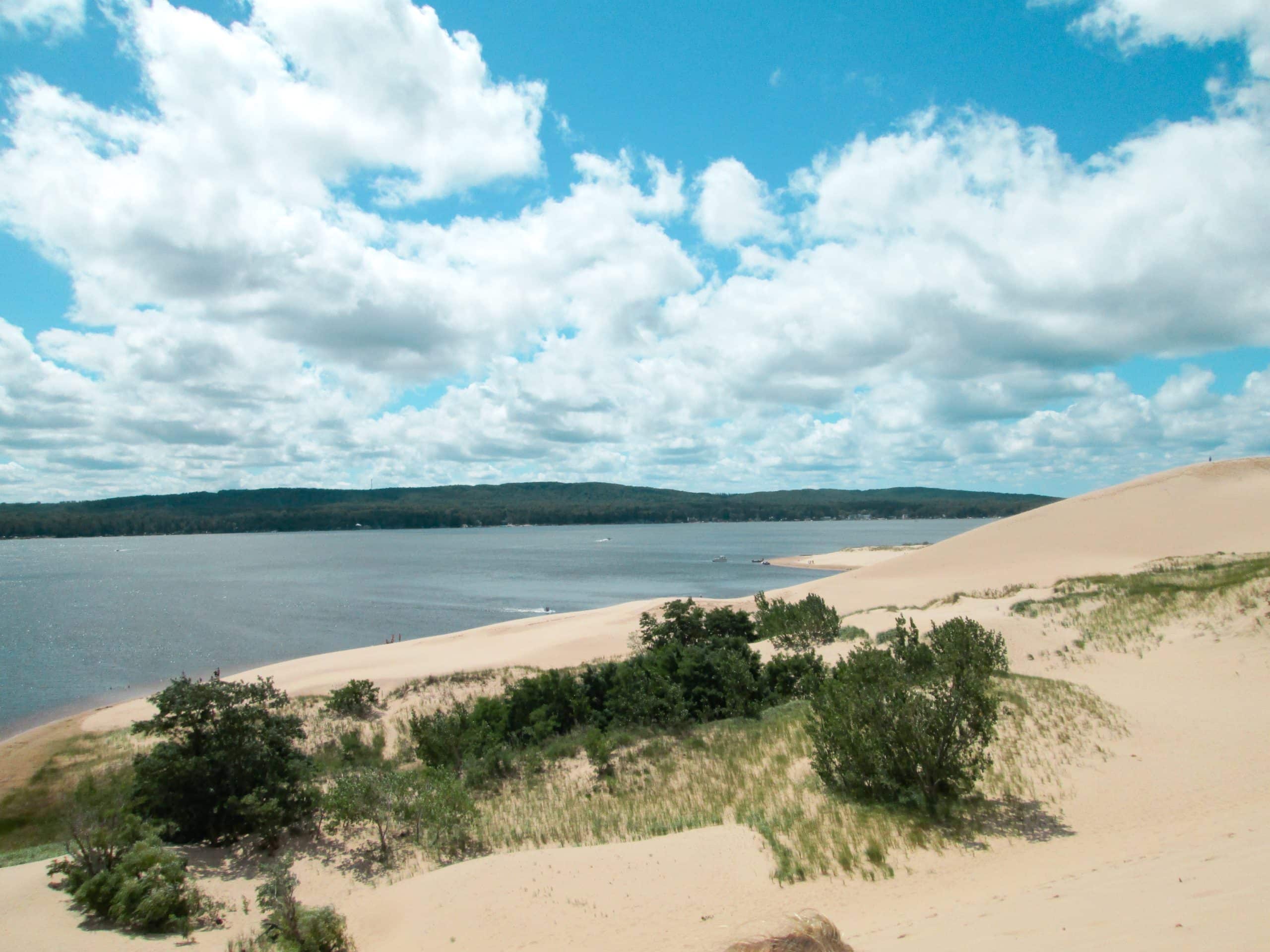 silver-lake-mi-real-estate